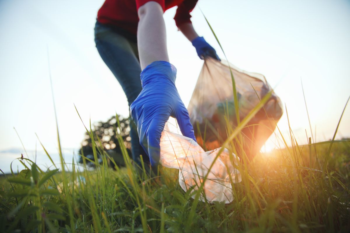 A person cleaning up trash in the yard