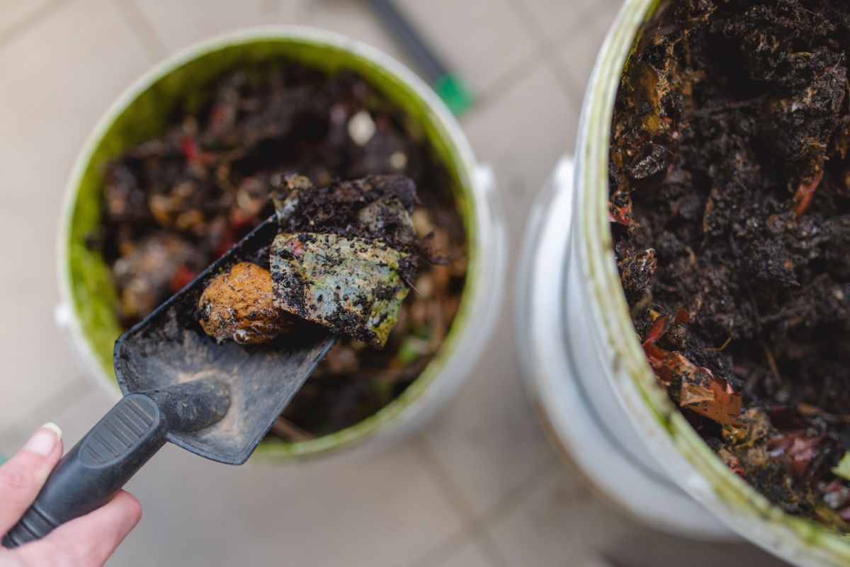 Using a 5 gallon bucket as a compost bin