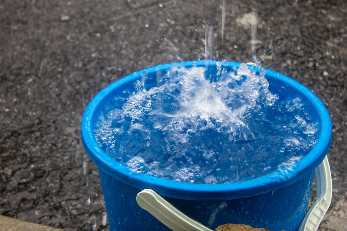 rainwater collecting in a 5-gallon bucket