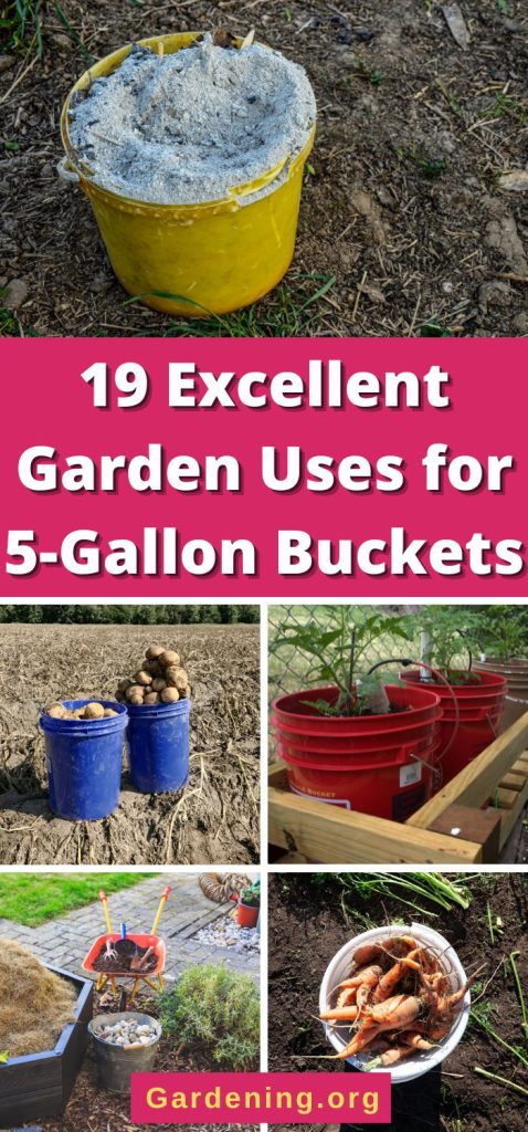 19 Excellent Garden Uses for 5-Gallon Buckets pinterest image.