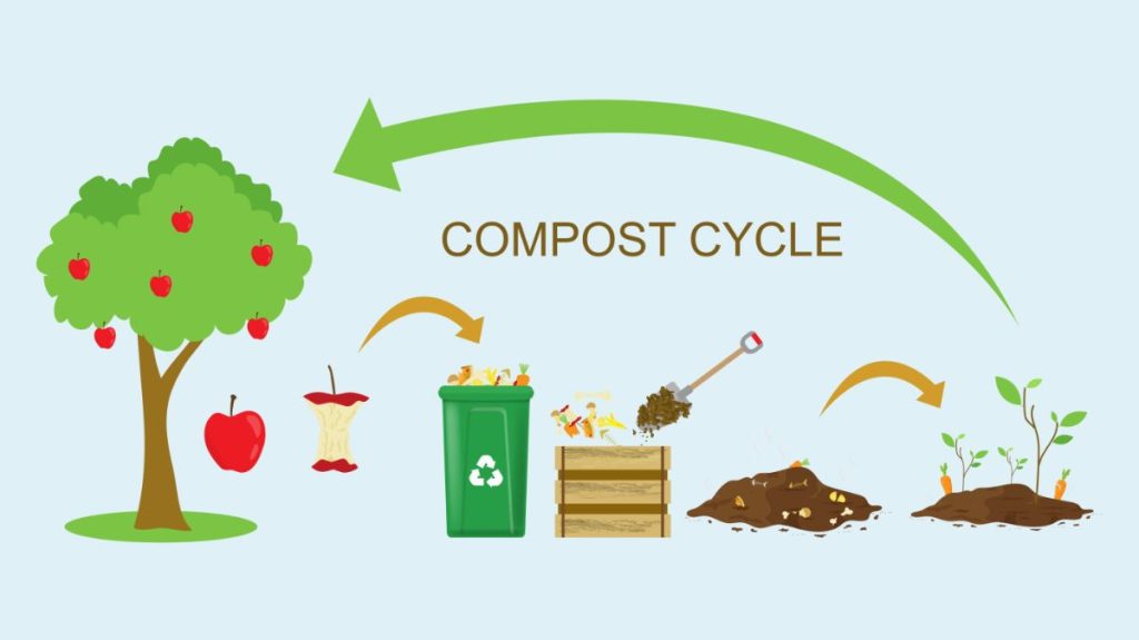 The Basics of Backyard Composting (Everything You Need to Know)