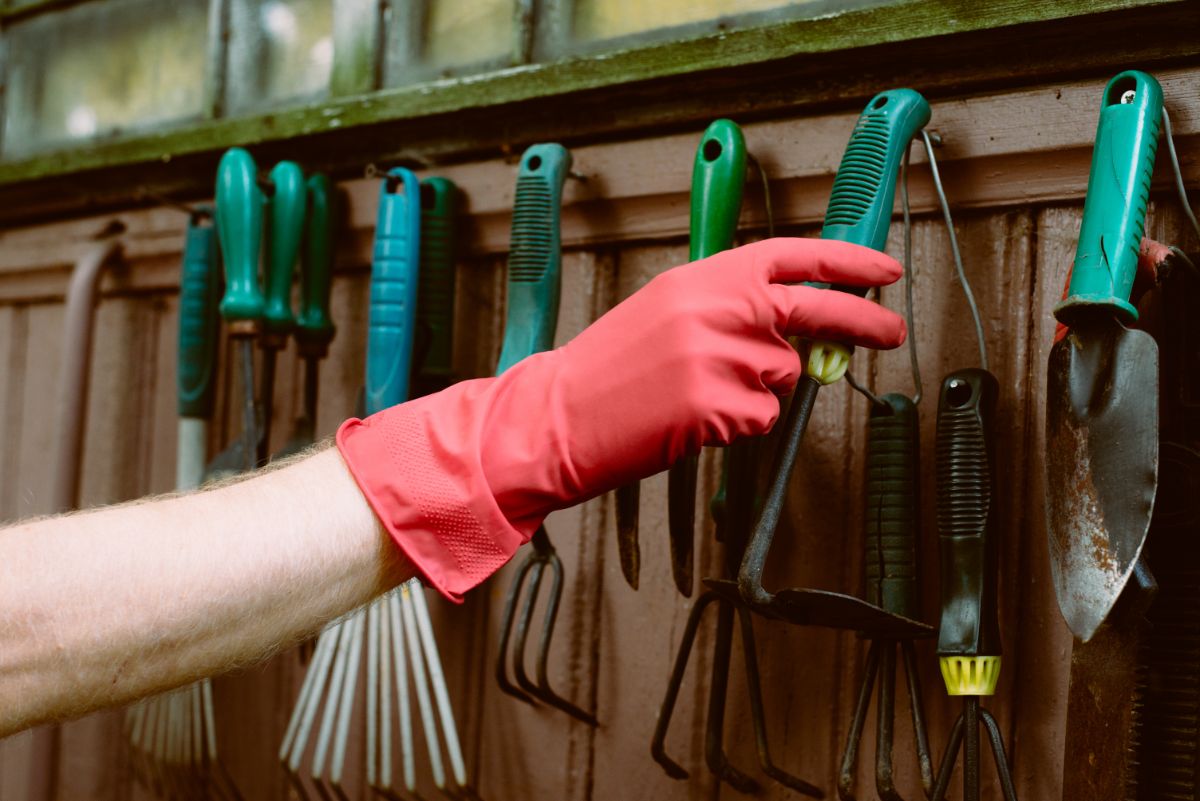 Woman reaching for a garden tool hanging on the wall