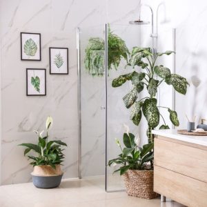Modern looking bathroom with green plants in pots.