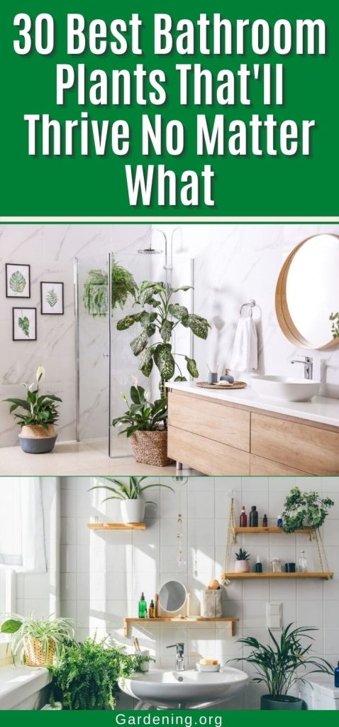 30 Best Bathroom Plants That'll Thrive No Matter What pinterest image.