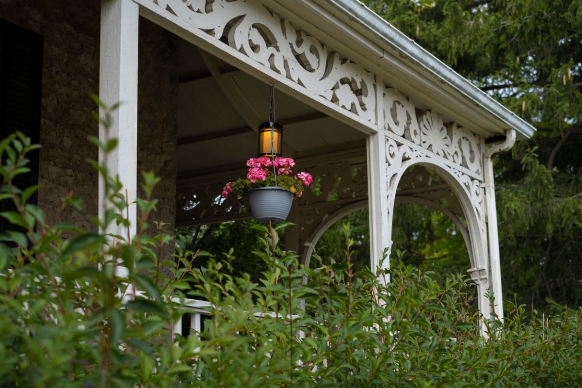 A potted hanging geranium on a front porch.