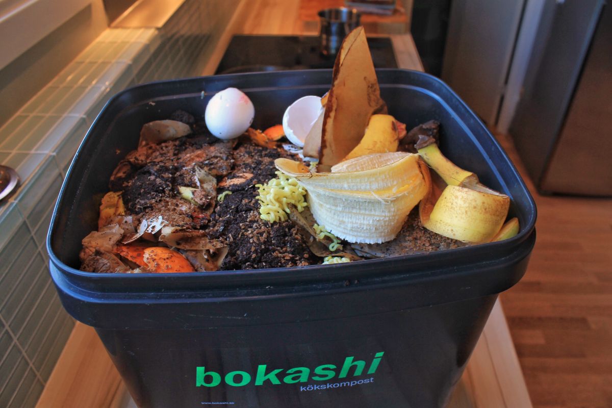 Bokashi compost being made in a pre-made Bokashi bin.
