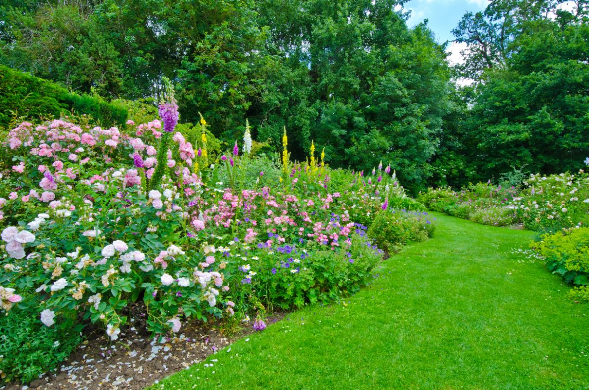 A nicely kept lawn and perennial garden