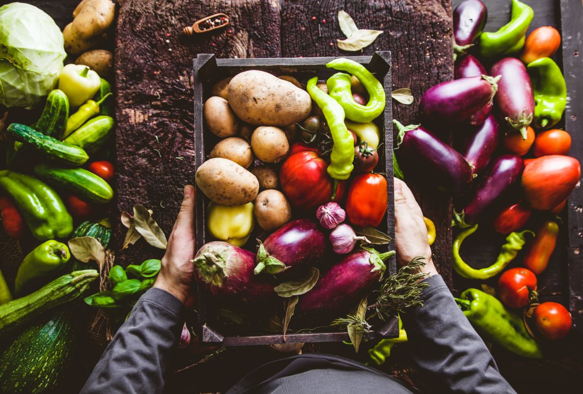 A gardener with a tray full of various vegetables including eggplant, peppers, and tomatoes