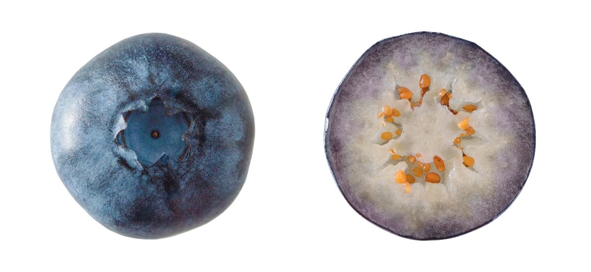 A whole blueberry next to a cut blueberry, showing the seeds