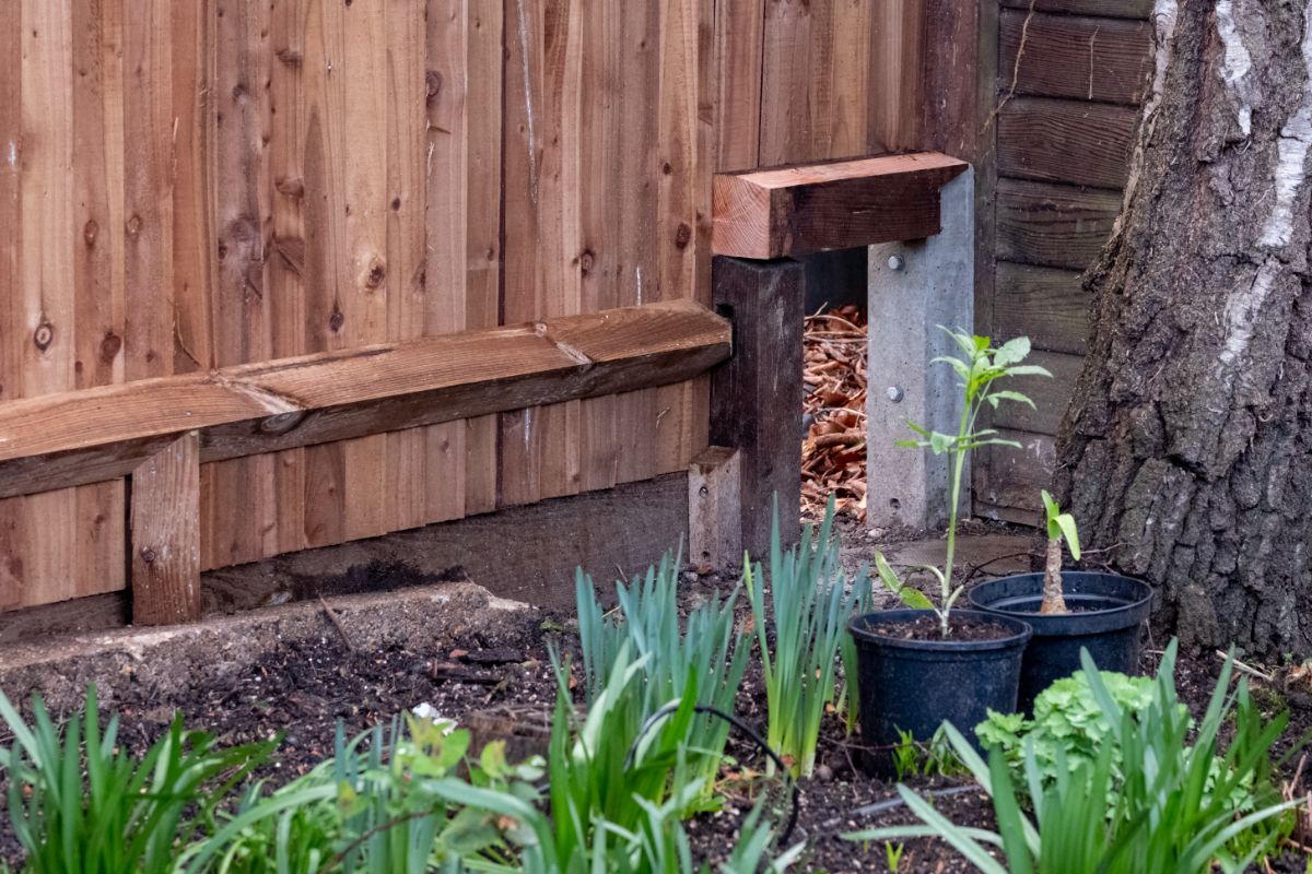 A small opening in a garden fence for a hedgehog highway