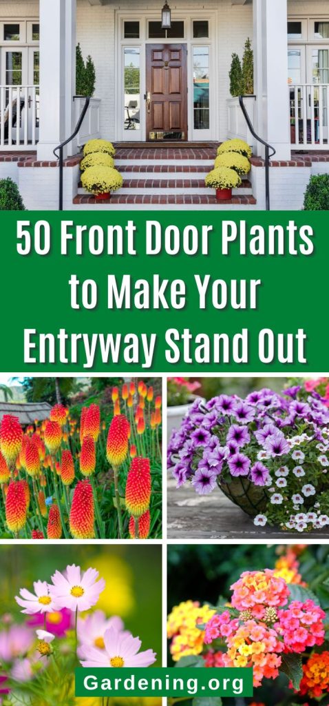 50 Front Door Plants to Make Your Entryway Stand Out pinterest image.