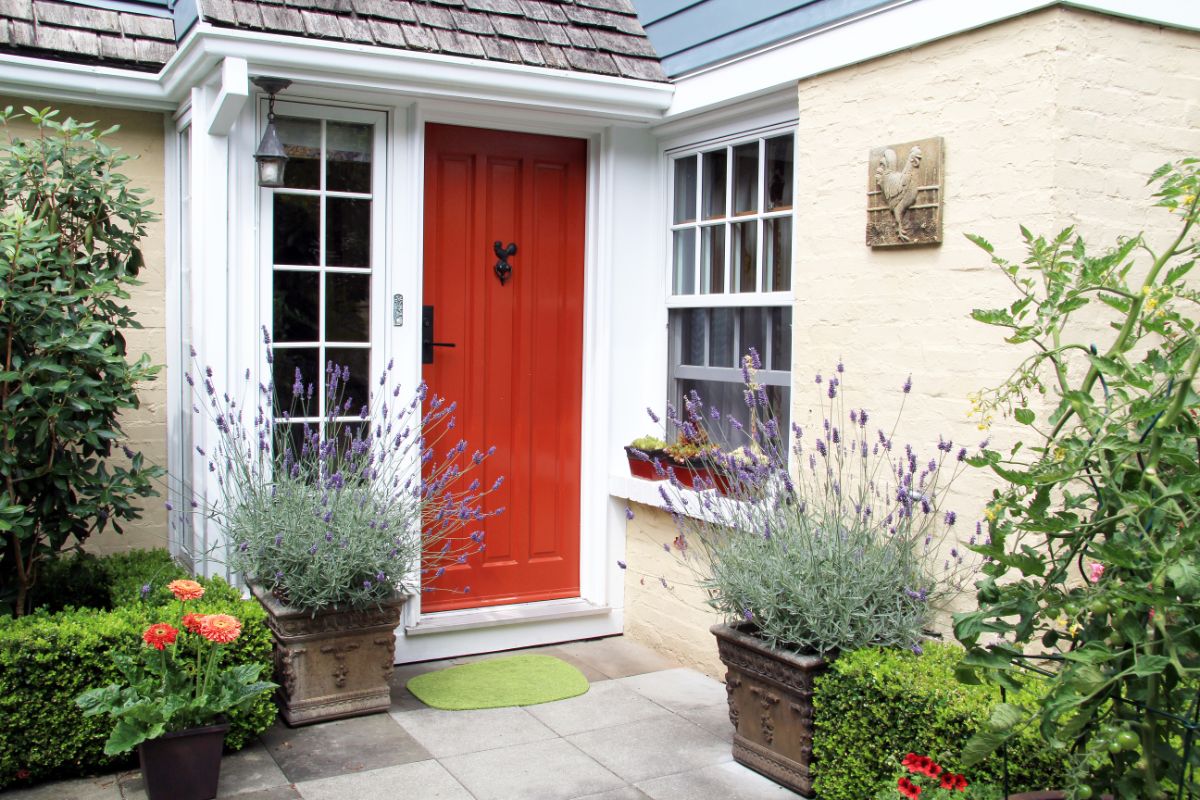 Large potted lavender plants flanking a door
