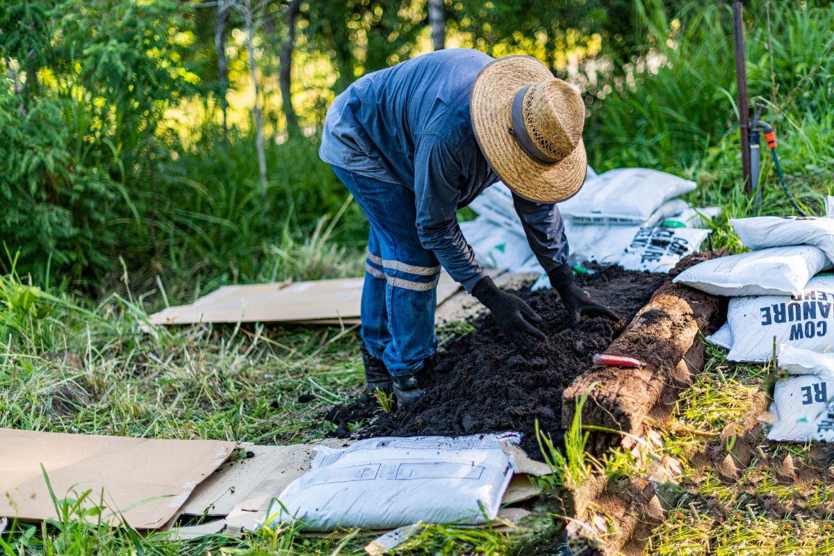 A gardener laying out a no-till hugelkutur system
