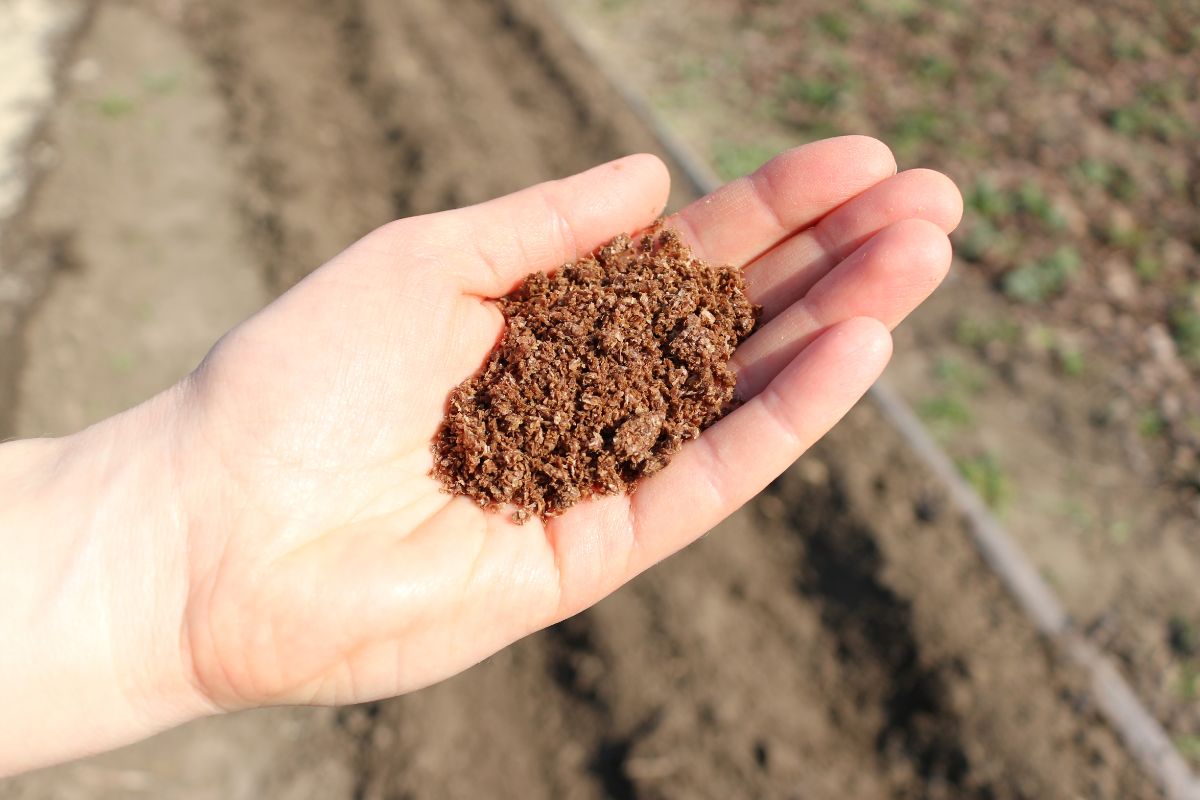 A Primer on Bokashi Composting (Everything You Need to Know)