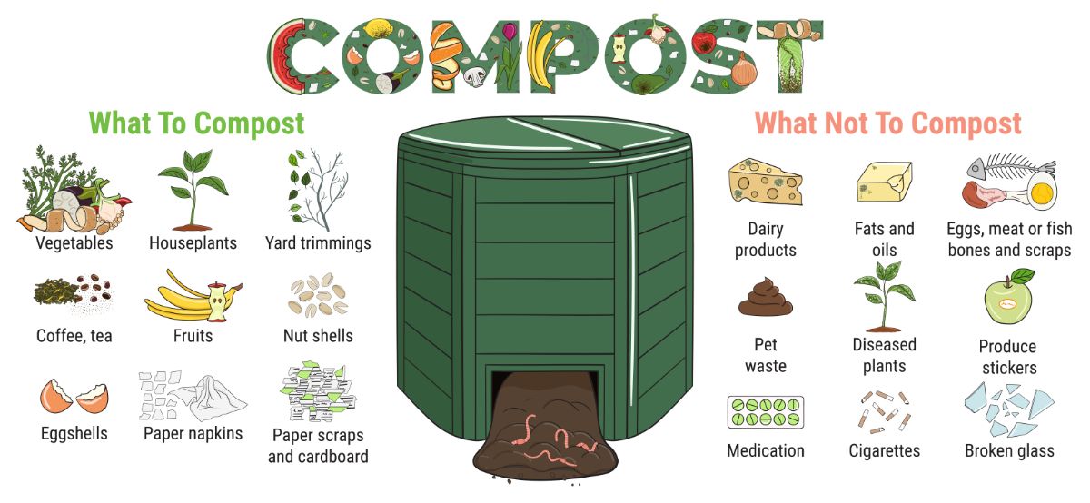 Graphic showing what should and should not be composted