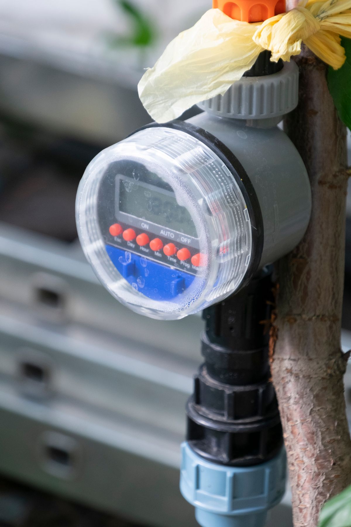 A home pressure regulator for a drip irrigation line