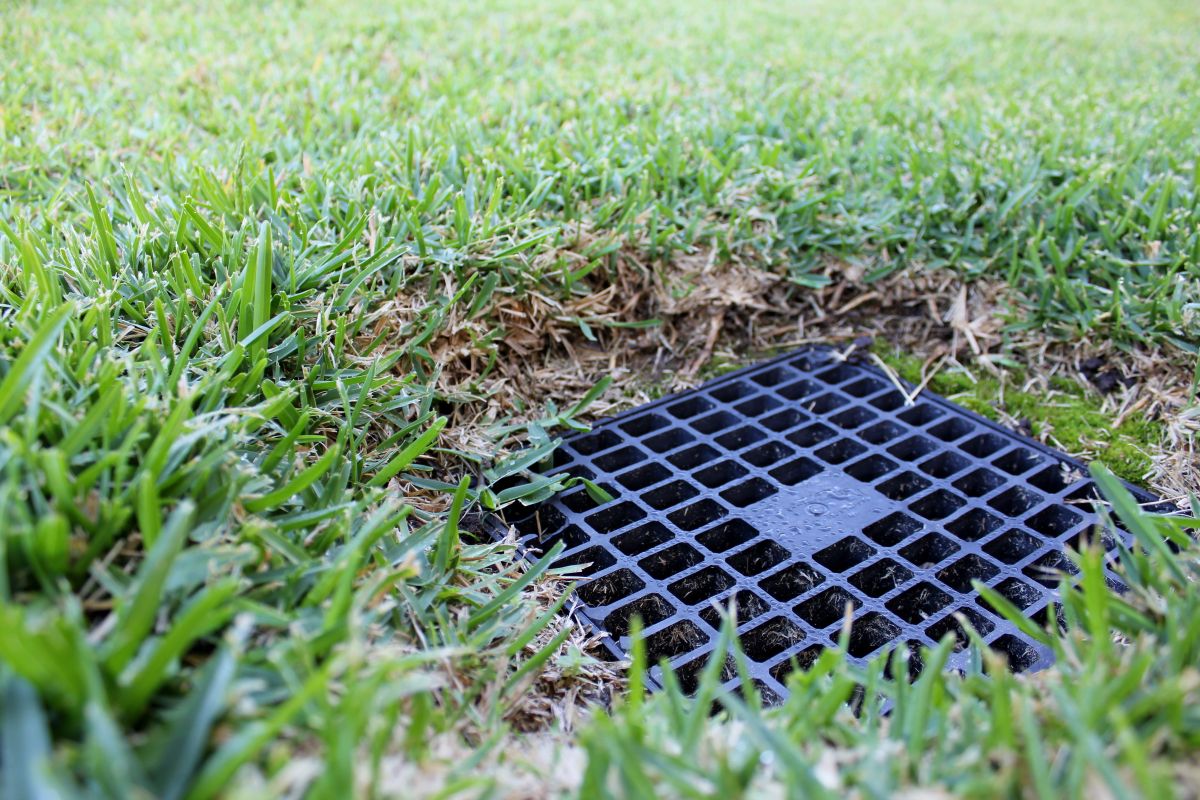a drain in a lawn with wide openings
