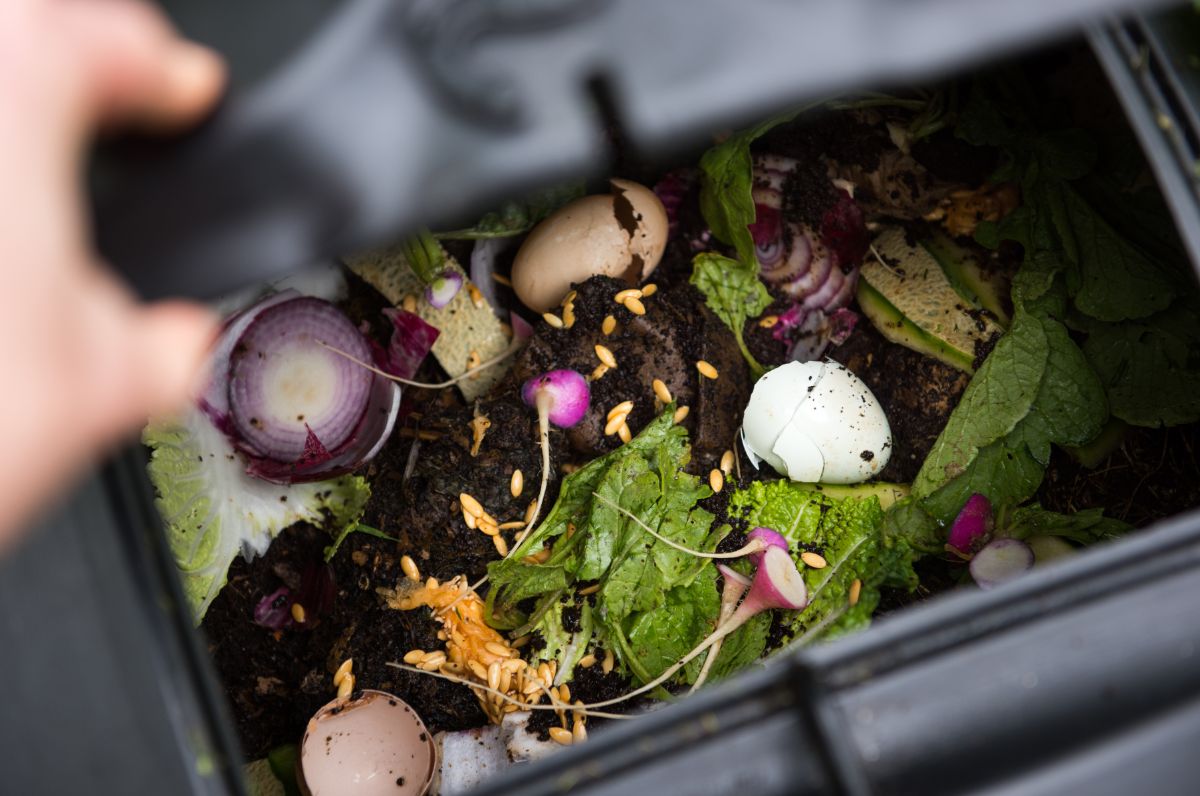 Food waste added to a compost bin