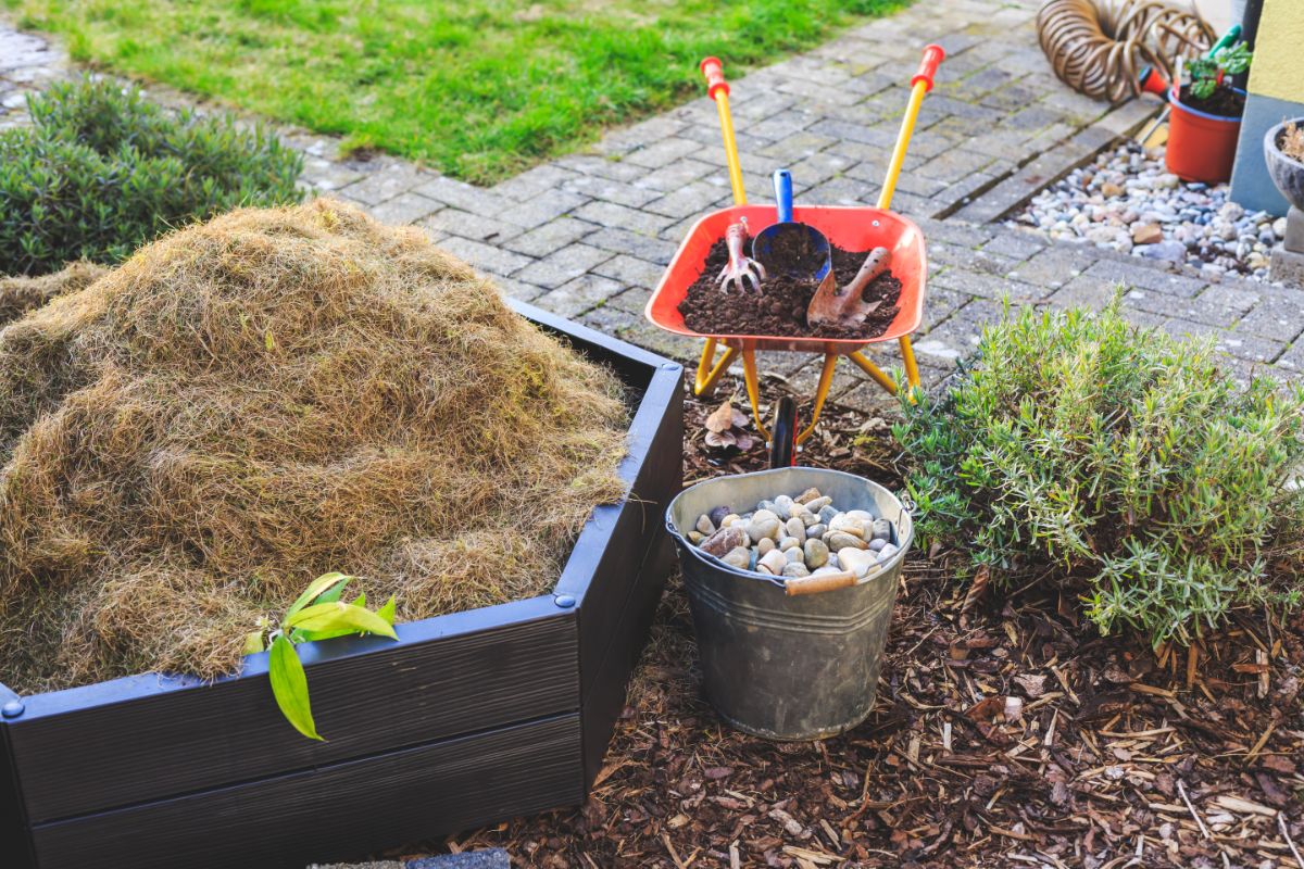 A five gallon pail used to collect rocks while working the garden