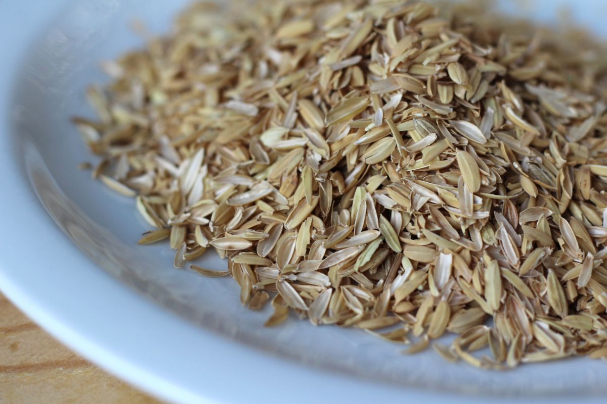 a dish of bran hulls for making inoculated bran for Bokashi composting