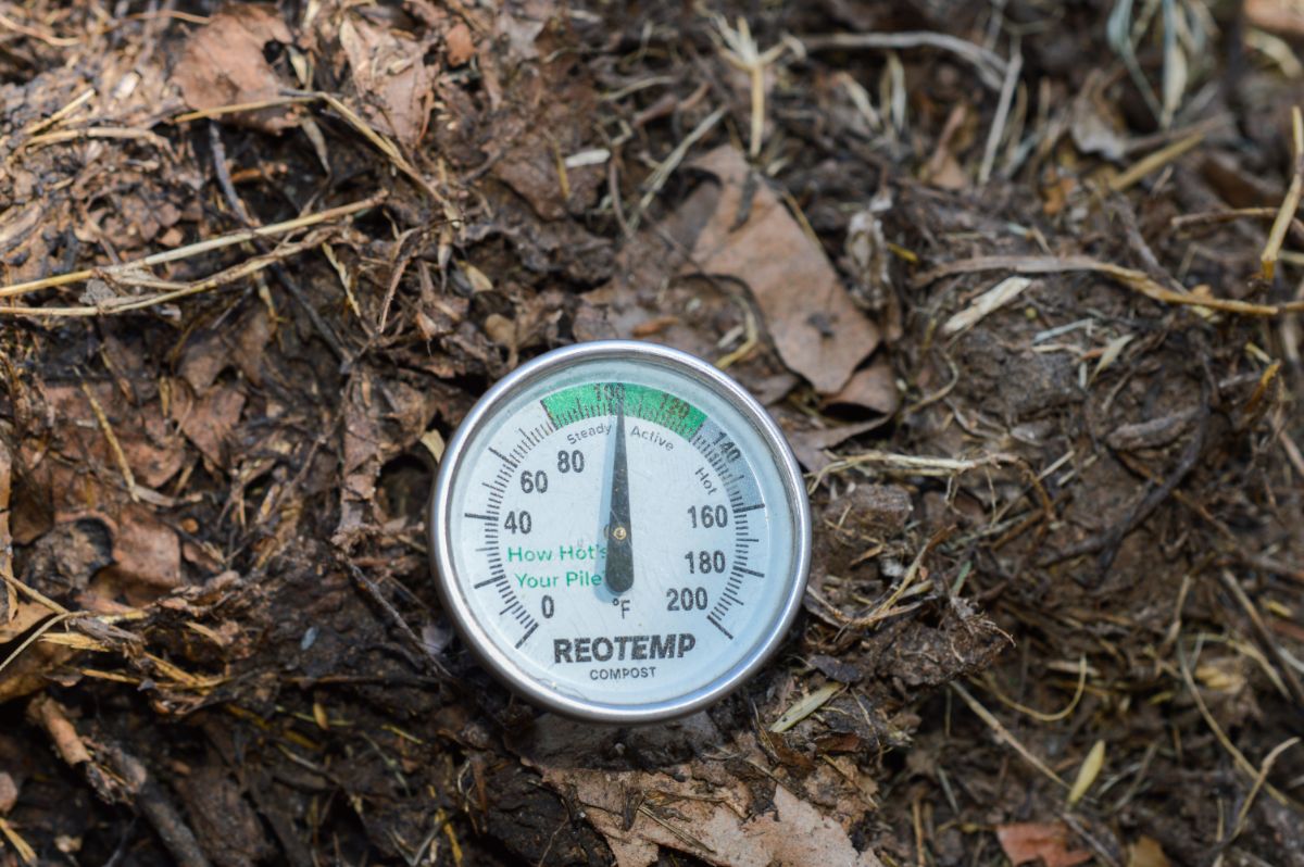 A thermometer stuck into a compost pile to read the temperature of a hot compost pile