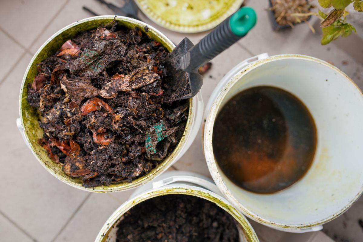 Using buckets to make compost tea