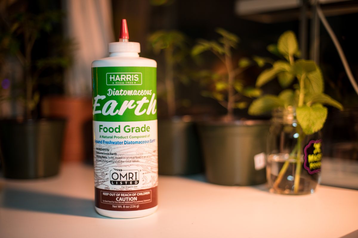 A bottle of diatomaceous earth for use in the garden killing snails and slugs