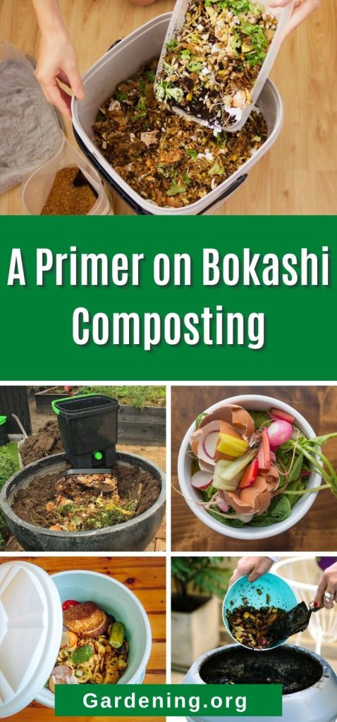 A Primer on Bokashi Composting pinterest image.