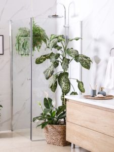 cropped-green-plants-in-elegant-modern-bathroom.jpg