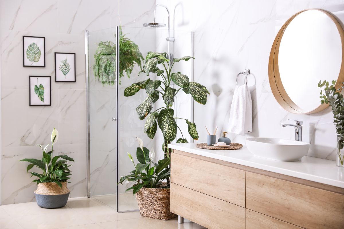 A bathroom with stylish houseplants