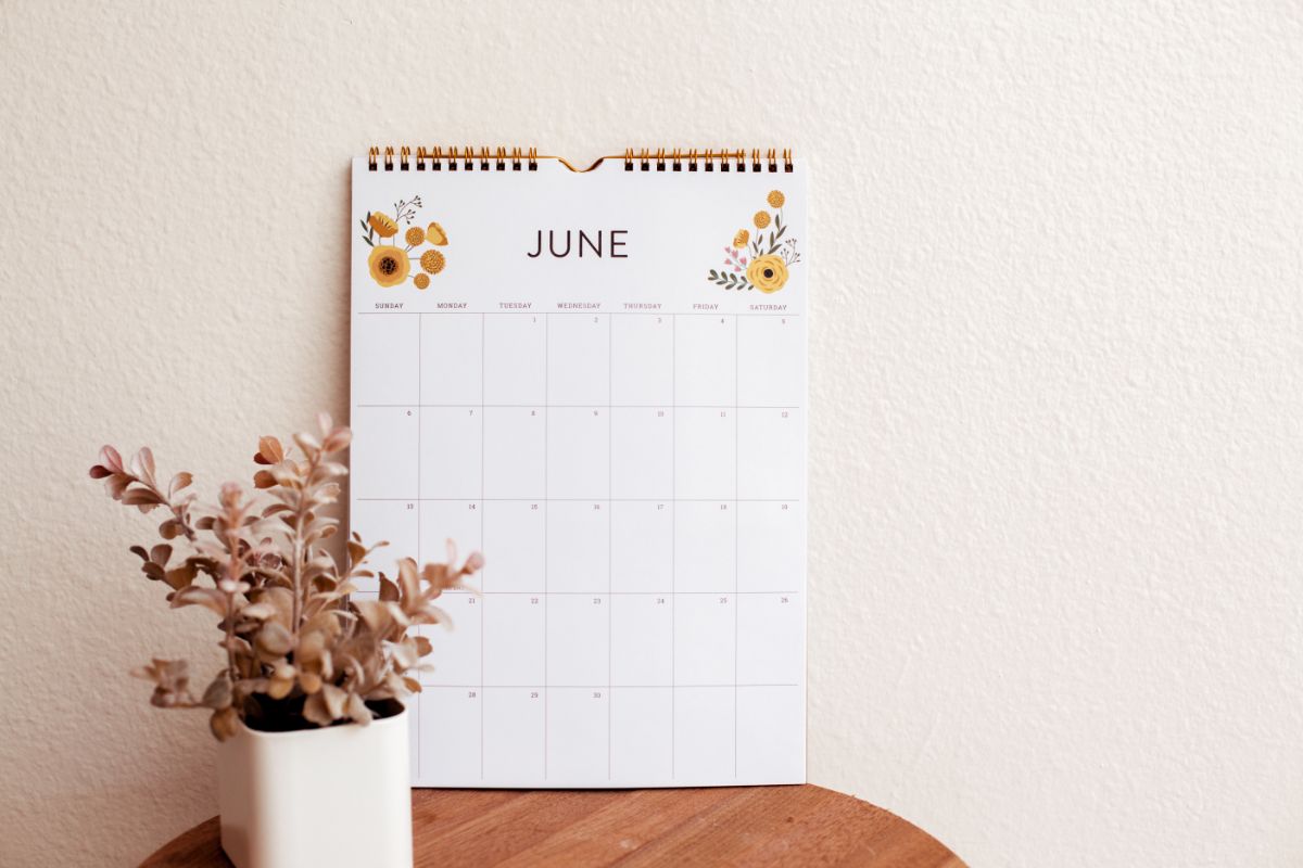 Blank June calendar page with a plant on a table