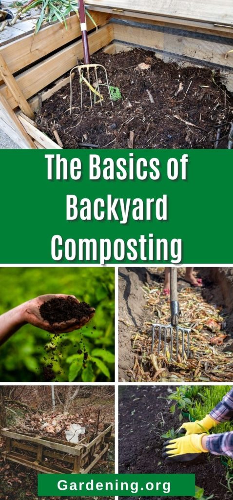The Basics of Backyard Composting pinterest image.
