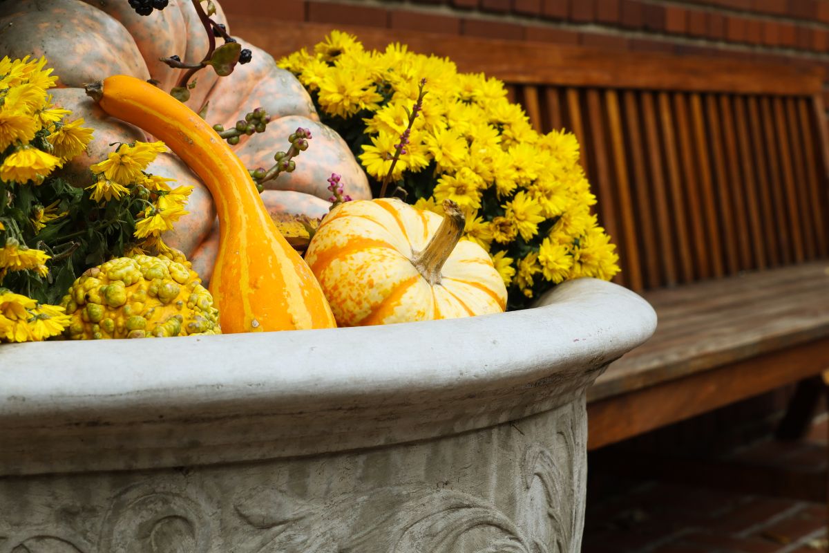 A fall-themed planter with fall gourds and plants