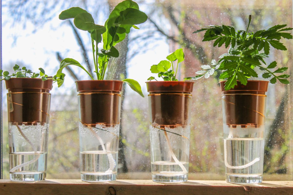 Self-Watering Tray, Wicking Rope Replacement Kit