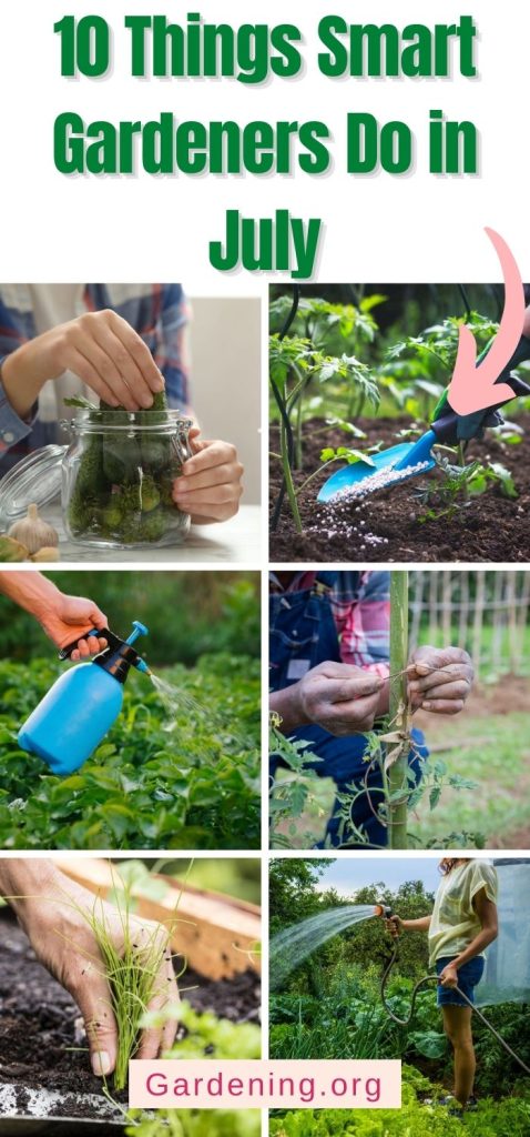10 Things Smart Gardeners Do in July pinterest image.