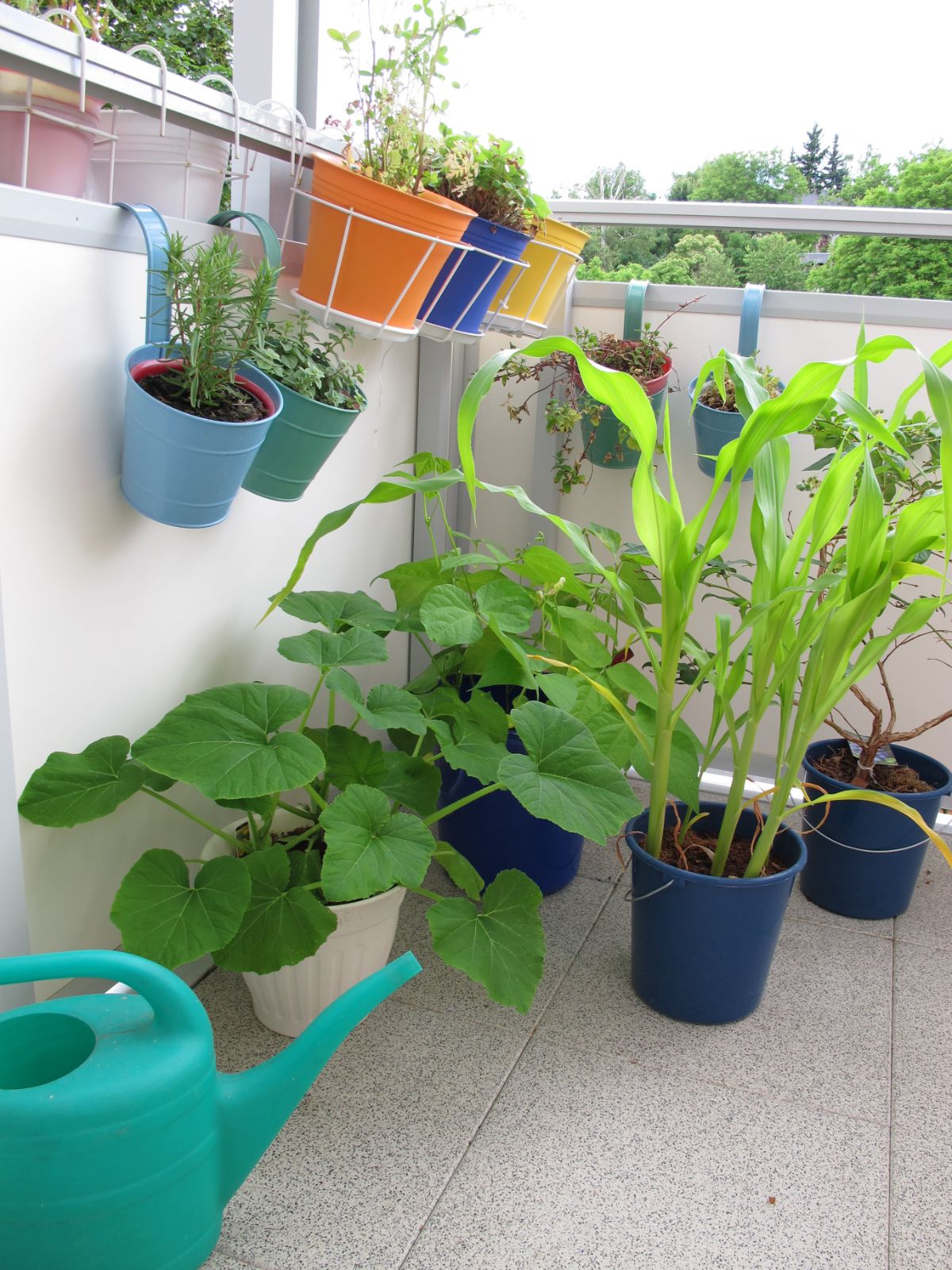 A patio corner ripe with hanging basket and container vegetable plants