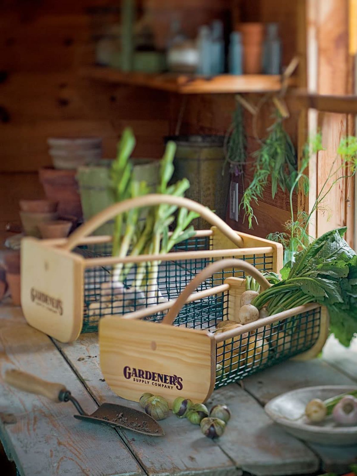A wire mesh garden basket to harvest and clean vegetables and fruit