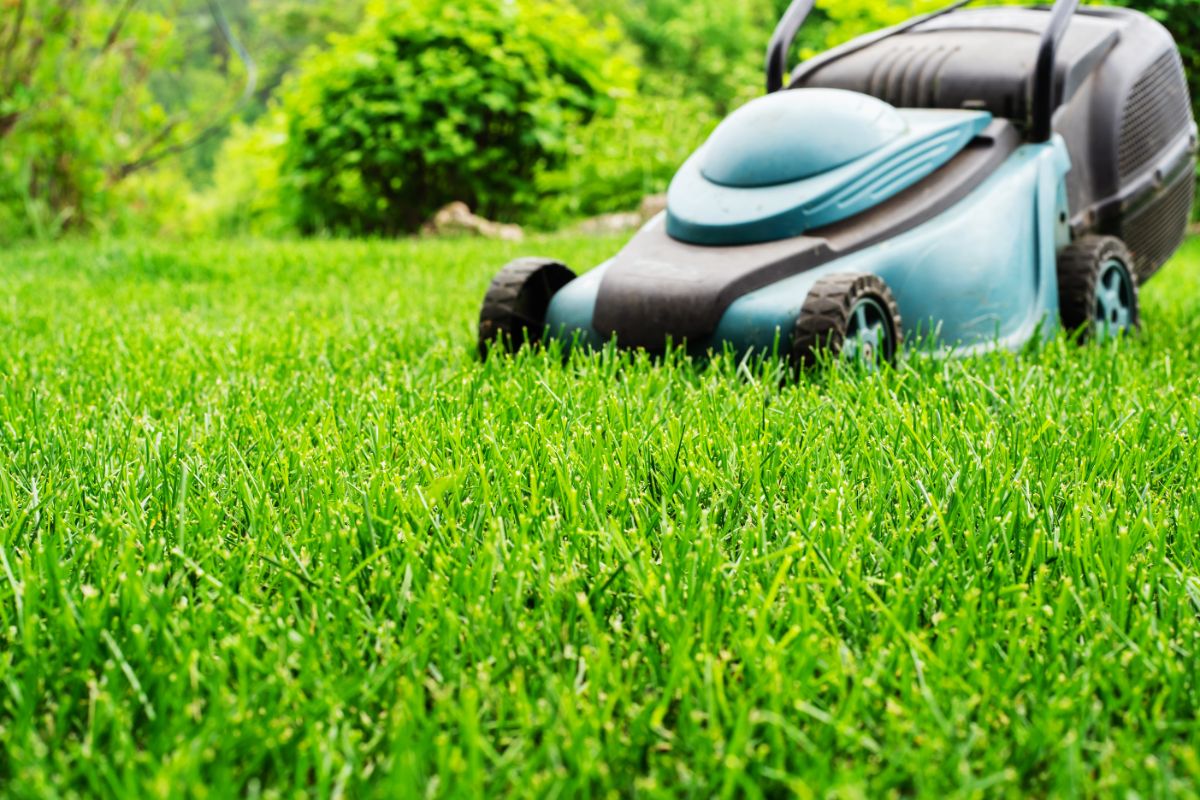 A lawnmower keeping weeds at bay through regular mowing