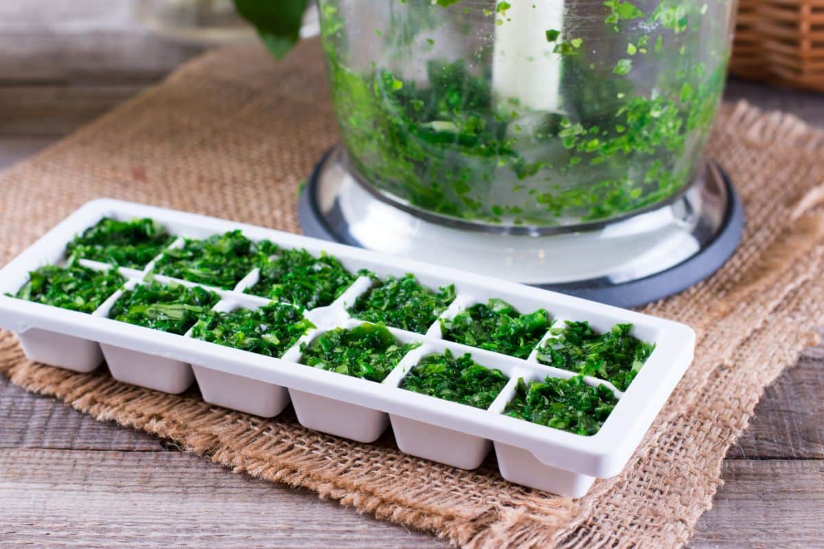 Chopped herbs in an ice-cube tray for freezing