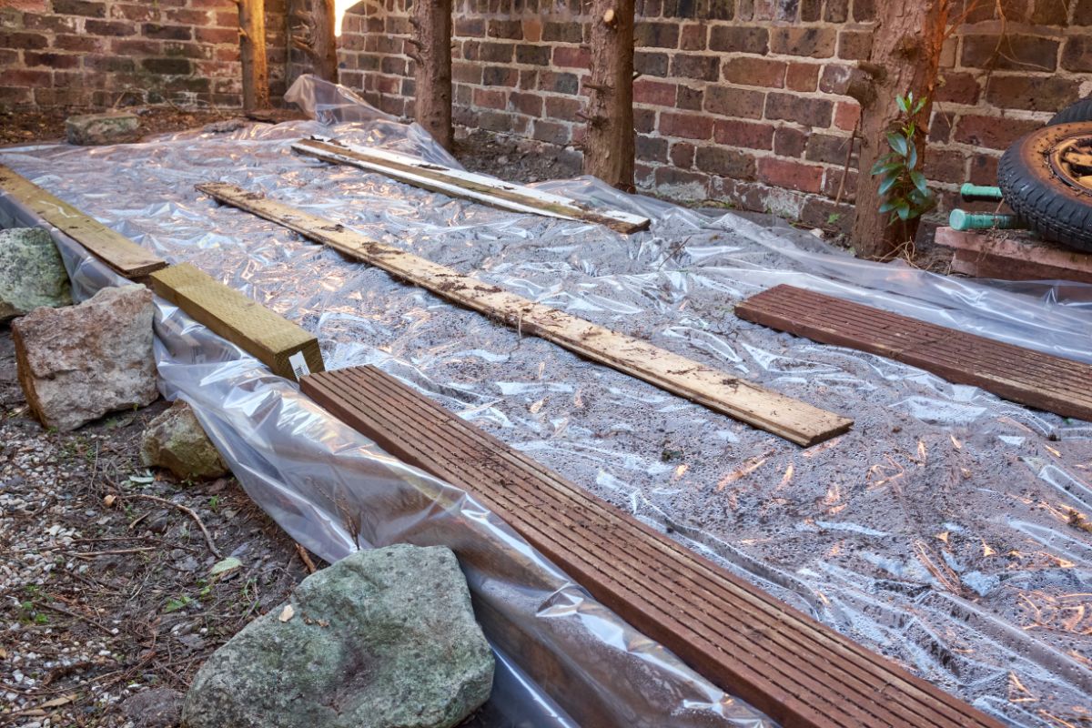 Clear plastic laid out and weighted to solarize and kill Japanese knotweed
