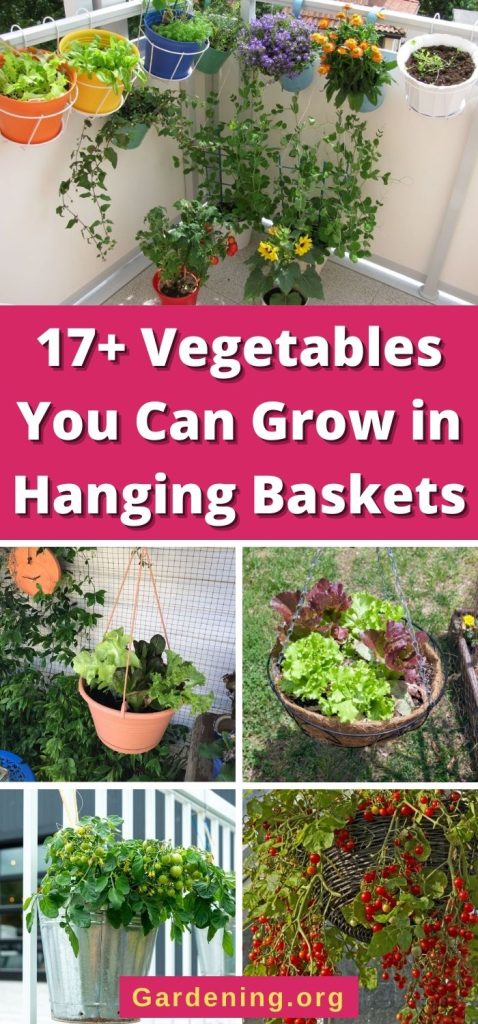 17+ Vegetables You Can Grow in Hanging Baskets pinterest image.