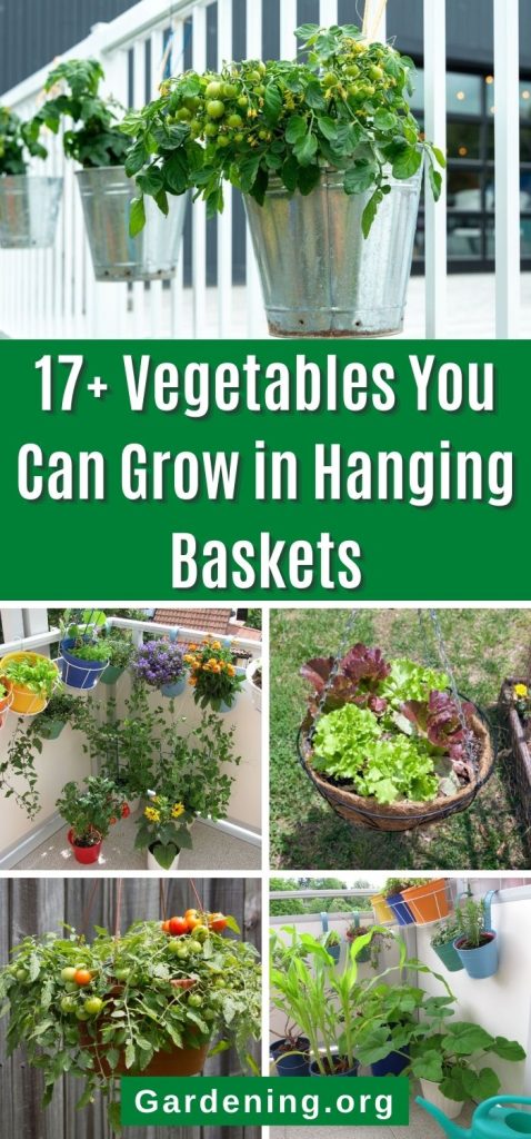 17+ Vegetables You Can Grow in Hanging Baskets pinterest image.