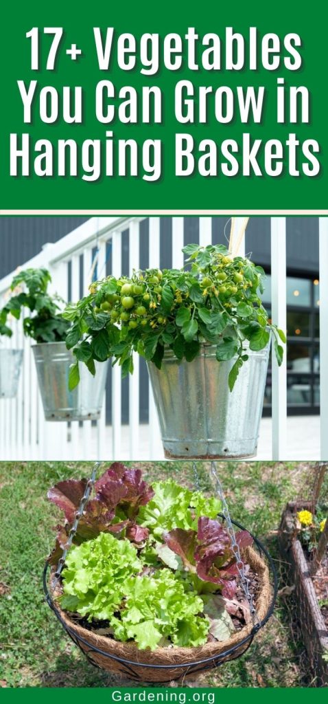 17+ Vegetables You Can Grow in Hanging Baskets pinterest image.