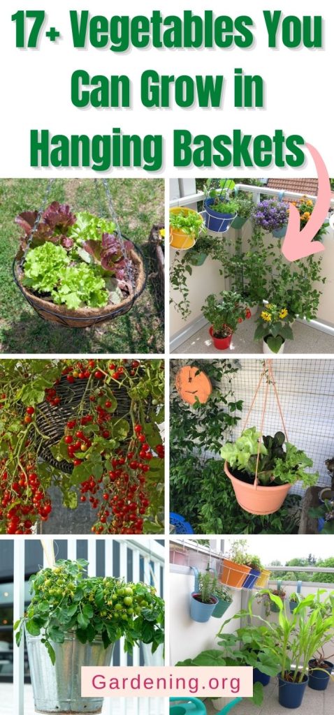 17+ Vegetables You Can Grow in Hanging Baskets pinterest image.