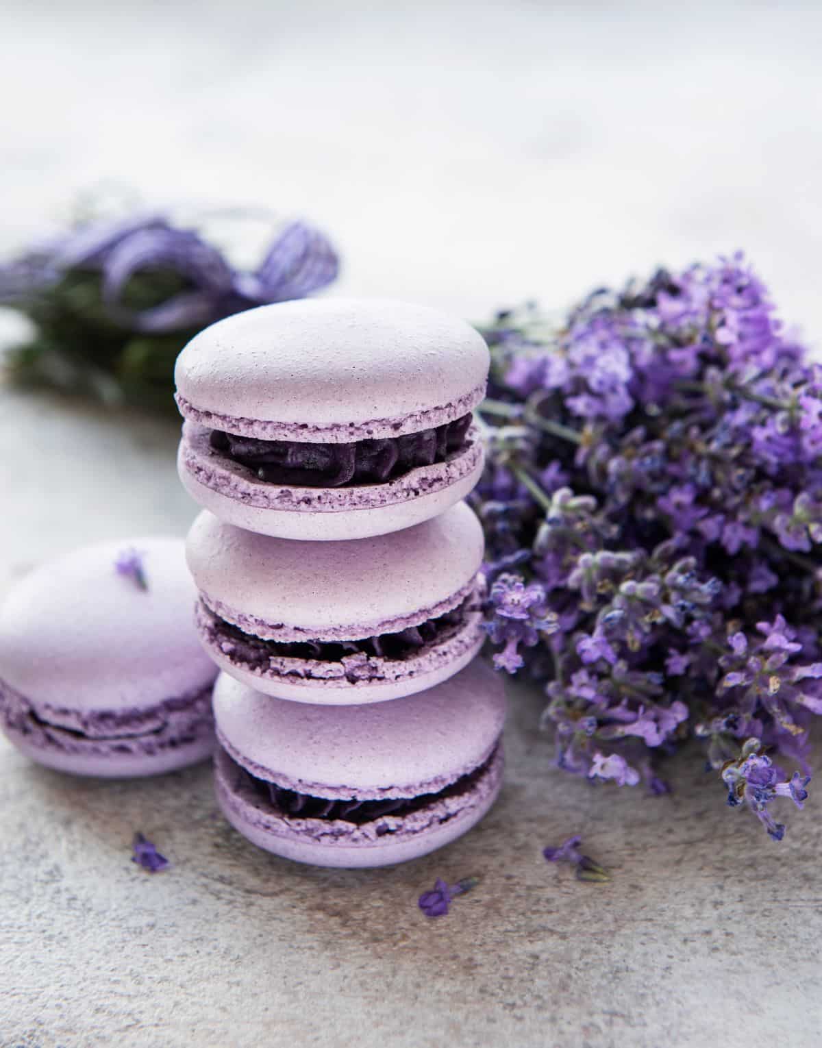 Soft purple lavender macarons