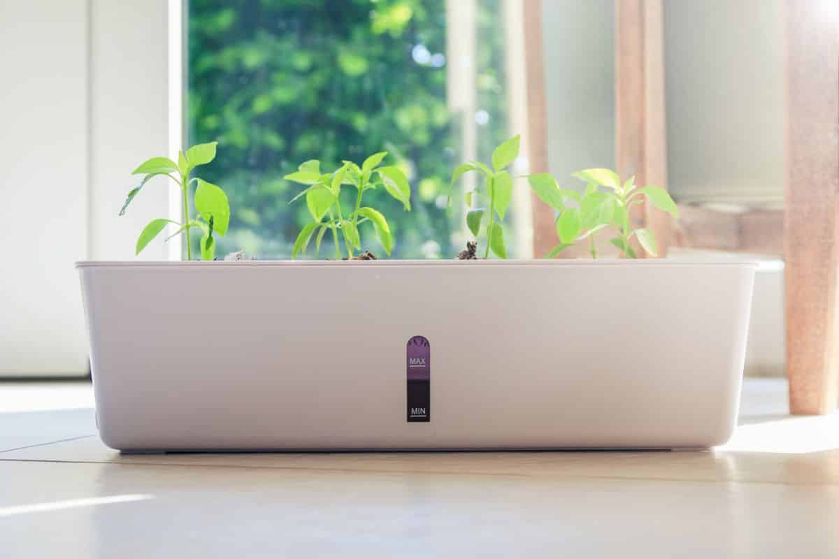 A self watering plant pot with a water level viewing window