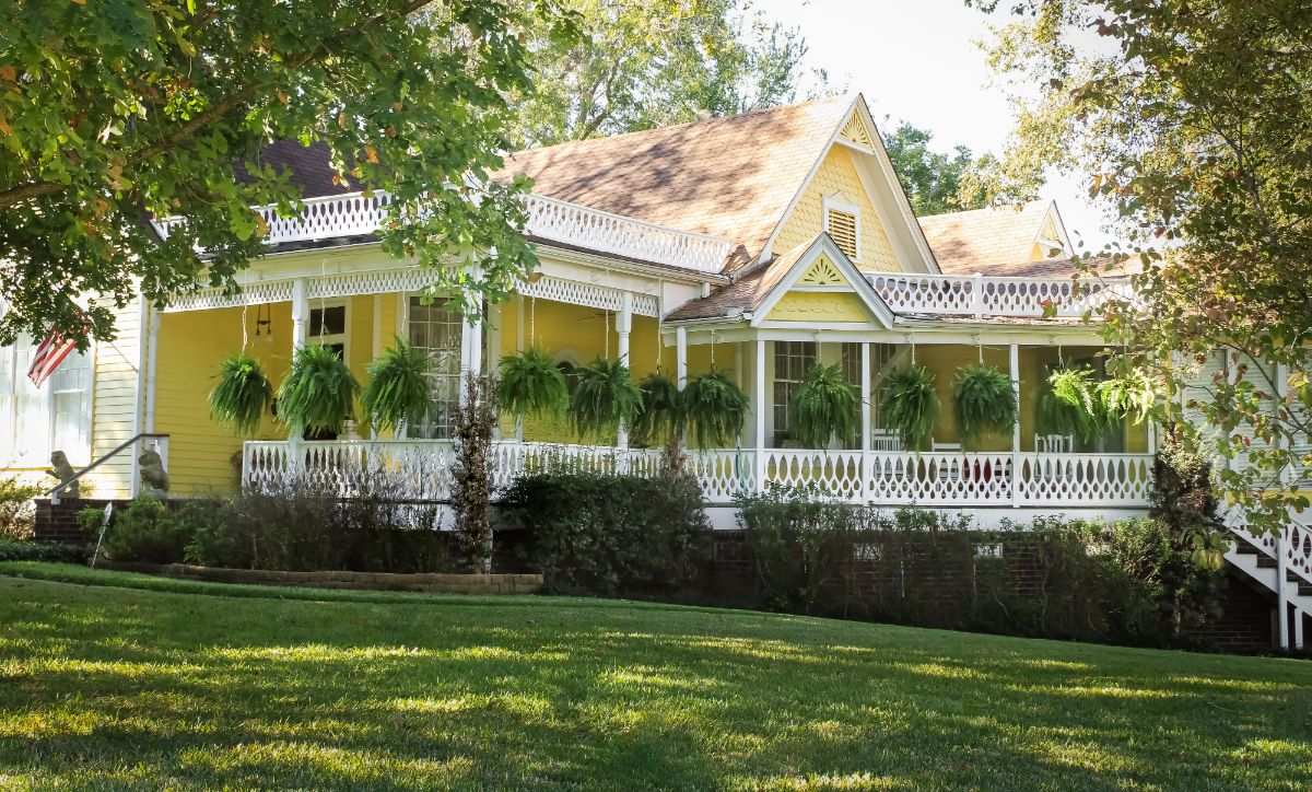 A porch with hanging Boston fern plants all around