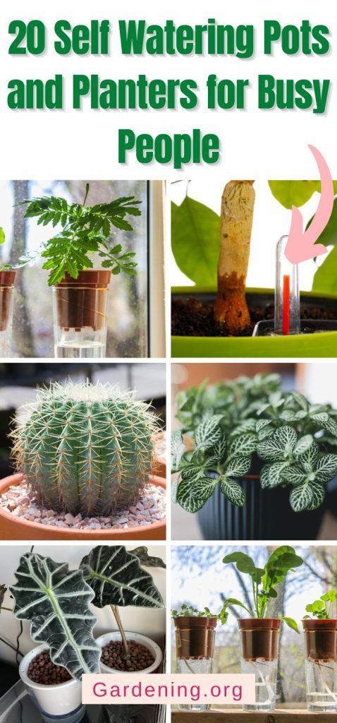 20 Self Watering Pots and Planters for Busy People pinterest image.