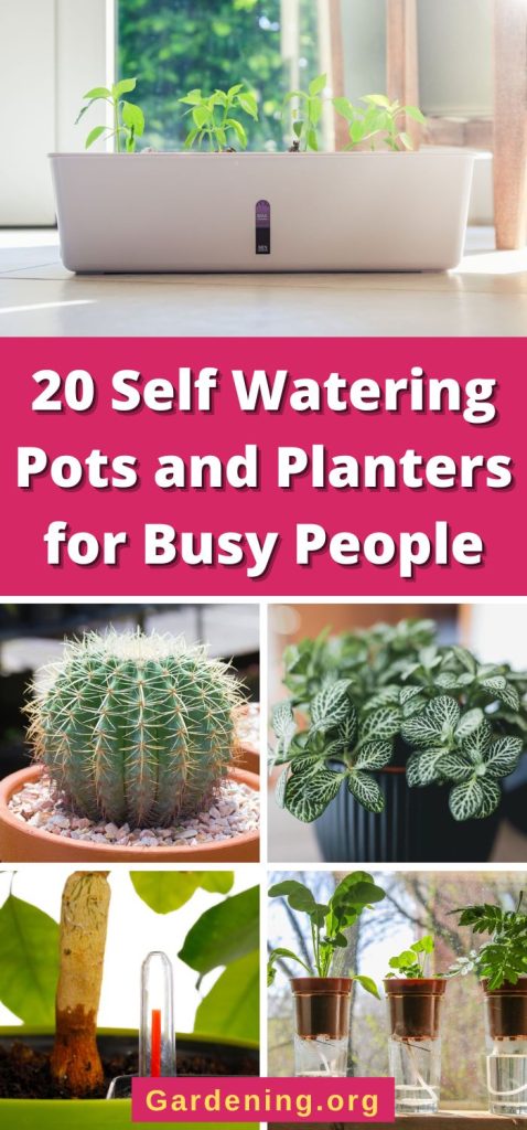 20 Self Watering Pots and Planters for Busy People pinterest image.
