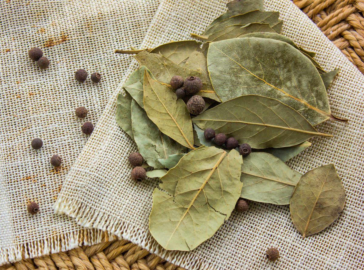 Bay leaves and peppercorn spread out on burlap
